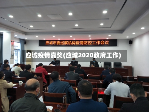 应城疫情嘉奖(应城2020政府工作)