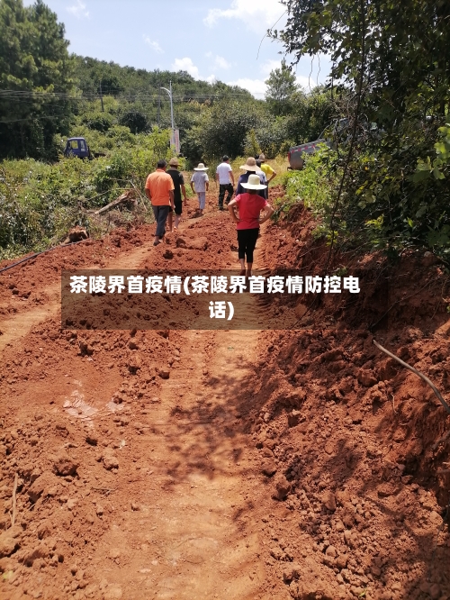 茶陵界首疫情(茶陵界首疫情防控电话)