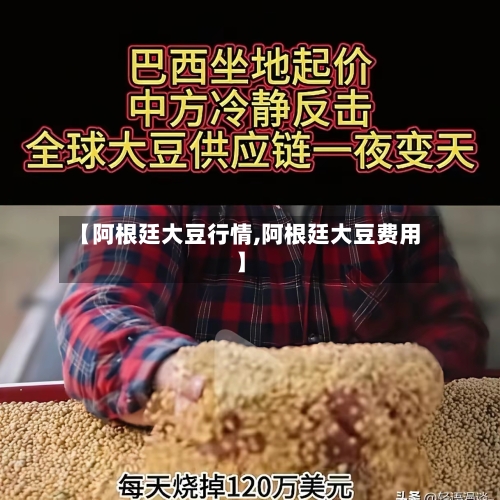 【阿根廷大豆行情,阿根廷大豆费用】