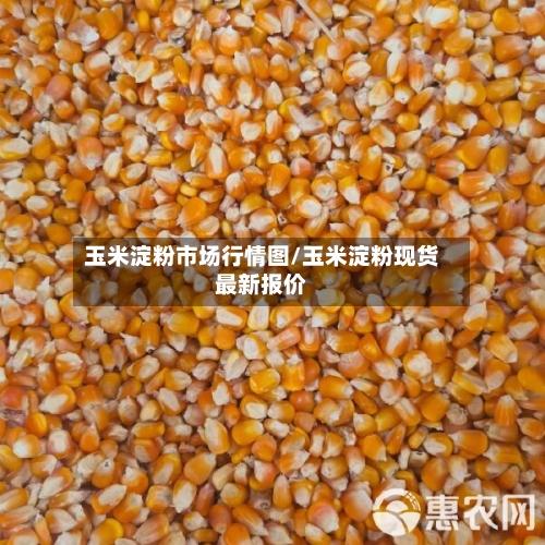 玉米淀粉市场行情图/玉米淀粉现货最新报价