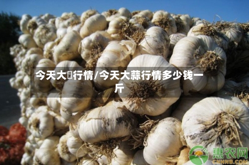 今天大祘行情/今天大蒜行情多少钱一斤-第3张图片