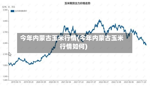 今年内蒙古玉米行情(今年内蒙古玉米行情如何)-第2张图片