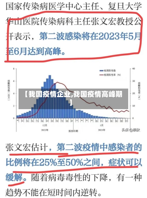 【我国疫情企业,我国疫情高峰期】