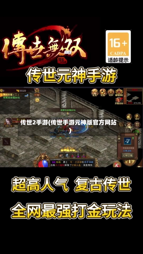 传世2手游(传世手游元神版官方网站)