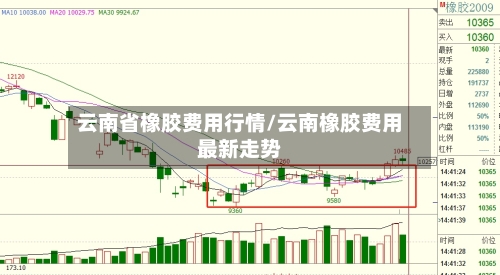 云南省橡胶费用行情/云南橡胶费用最新走势
