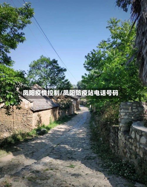 凤阳疫情控制/凤阳防疫站电话号码-第2张图片