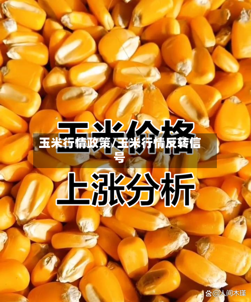 玉米行情政策/玉米行情反转信号-第3张图片