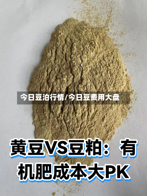 今日豆泊行情/今日豆费用大盘-第3张图片
