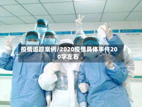 疫情追踪案例/2020疫情具体事件200字左右
