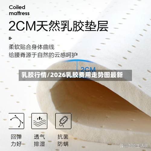 乳胶行情/2026乳胶费用走势图最新