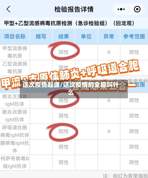 这次疫情起源/这次疫情的全称叫什么