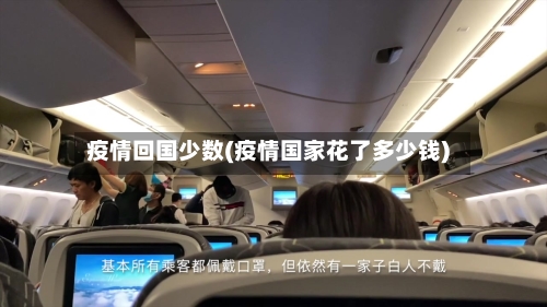 疫情回国少数(疫情国家花了多少钱)-第2张图片