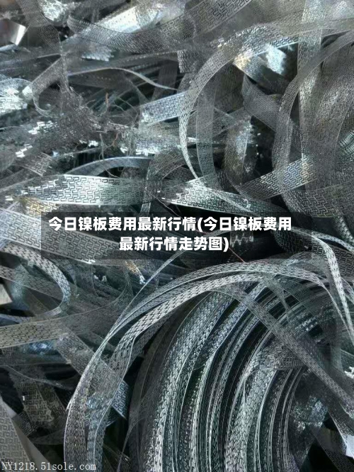 今日镍板费用最新行情(今日镍板费用最新行情走势图)-第2张图片
