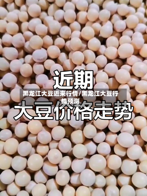 黑龙江大豆近来行情/黑龙江大豆行情预测