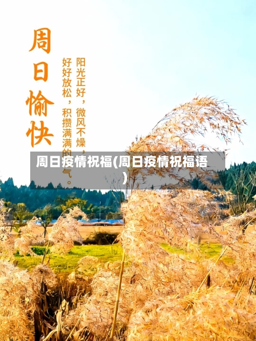 周日疫情祝福(周日疫情祝福语)-第3张图片