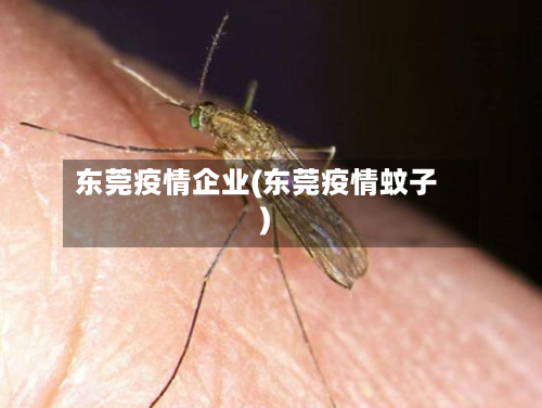 东莞疫情企业(东莞疫情蚊子)-第3张图片