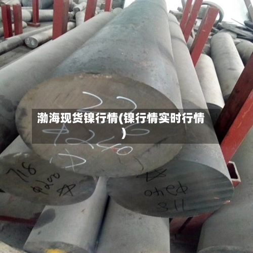 渤海现货镍行情(镍行情实时行情)