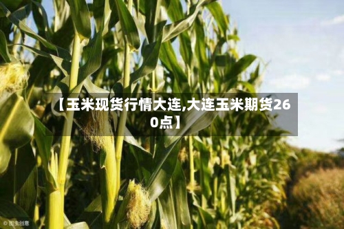 【玉米现货行情大连,大连玉米期货260点】