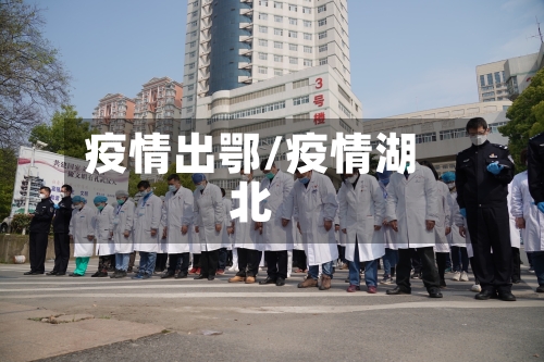 疫情出鄂/疫情湖北