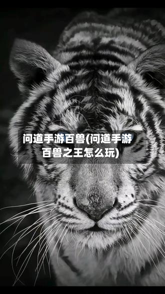 问道手游百兽(问道手游百兽之王怎么玩)-第2张图片