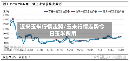 近来玉米行情走势/玉米行情走势今日玉米费用-第3张图片