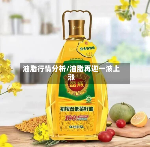 油脂行情分析/油脂再迎一波上涨-第2张图片