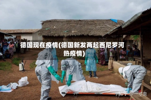 德国现在疫情(德国新发两起西尼罗河热疫情)-第2张图片