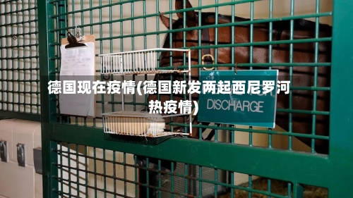 德国现在疫情(德国新发两起西尼罗河热疫情)-第3张图片