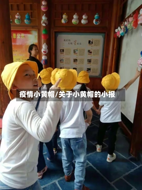 疫情小黄帽/关于小黄帽的小报