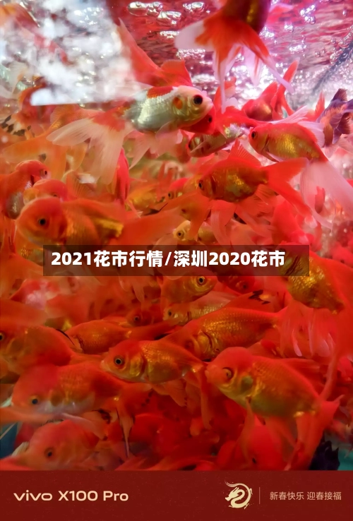 2021花市行情/深圳2020花市-第3张图片