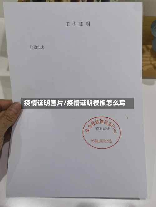 疫情证明图片/疫情证明模板怎么写-第3张图片