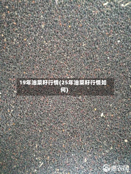 19年油菜籽行情(25年油菜籽行情如何)-第2张图片