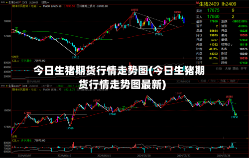 今日生猪期货行情走势图(今日生猪期货行情走势图最新)-第2张图片
