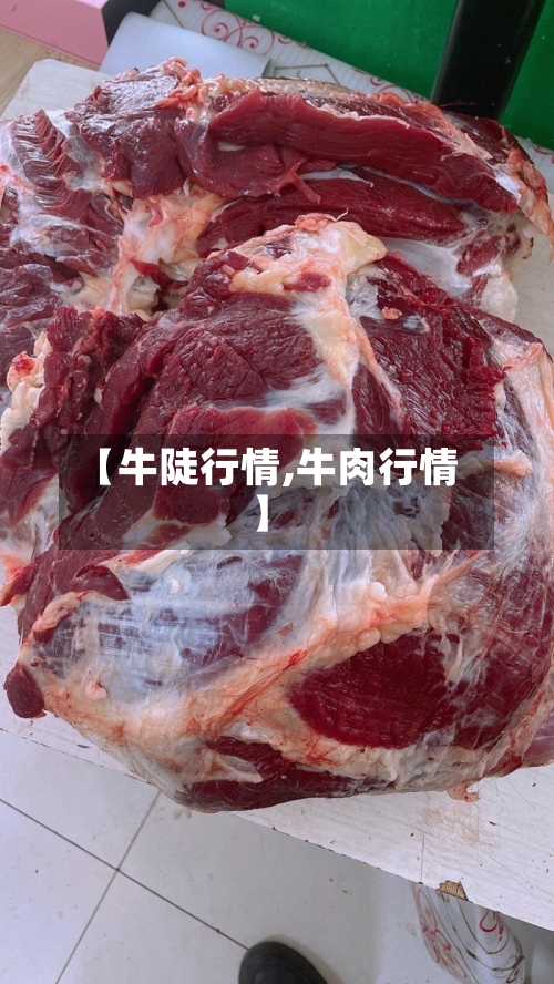 【牛陡行情,牛肉行情】-第3张图片