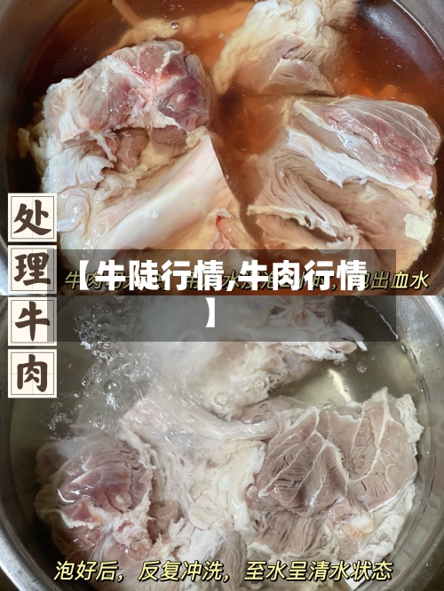 【牛陡行情,牛肉行情】