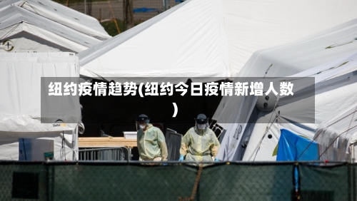 纽约疫情趋势(纽约今日疫情新增人数)-第3张图片