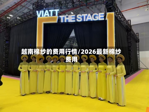 越南棉纱的费用行情/2026最新棉纱费用-第2张图片
