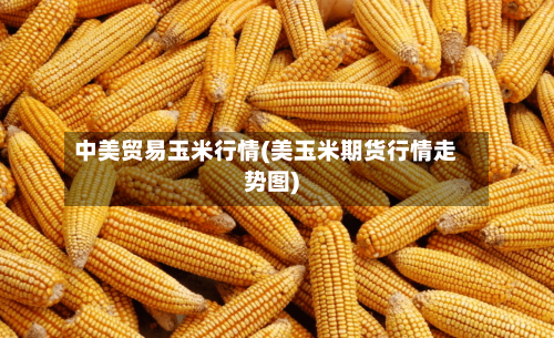 中美贸易玉米行情(美玉米期货行情走势图)-第2张图片