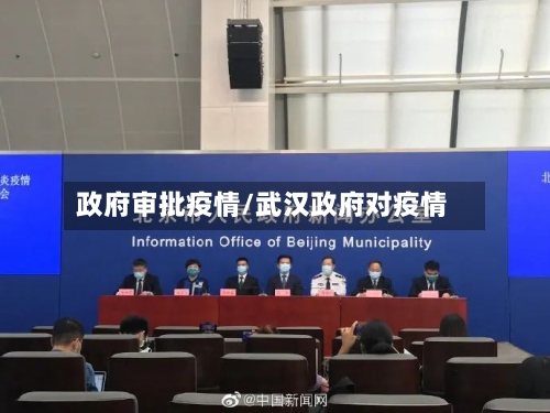 政府审批疫情/武汉政府对疫情