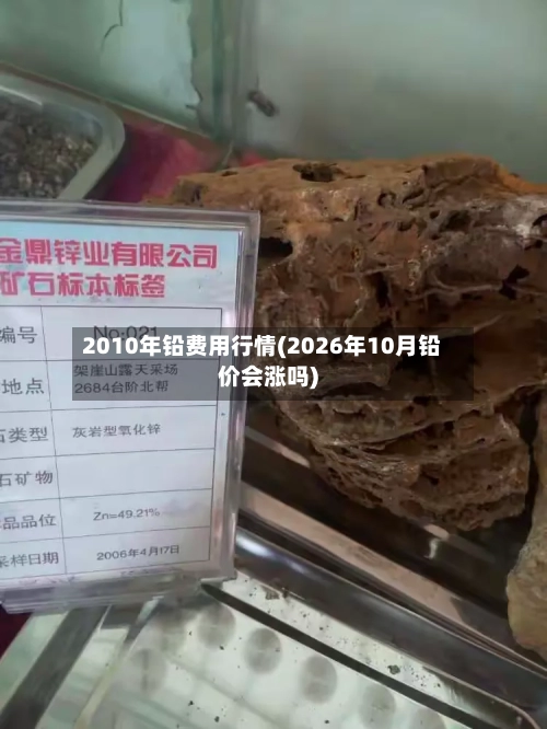 2010年铅费用行情(2026年10月铅价会涨吗)