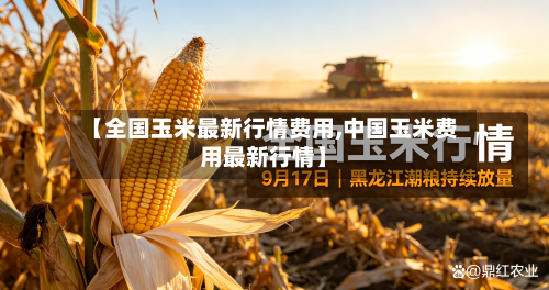 【全国玉米最新行情费用,中国玉米费用最新行情】