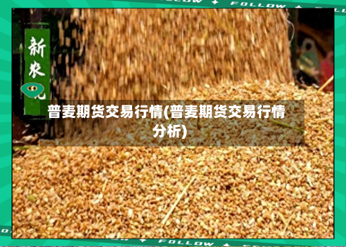 普麦期货交易行情(普麦期货交易行情分析)