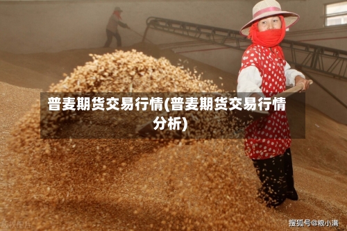 普麦期货交易行情(普麦期货交易行情分析)-第2张图片