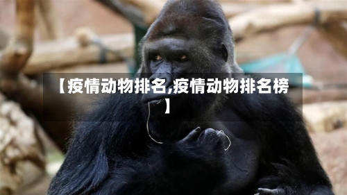 【疫情动物排名,疫情动物排名榜】