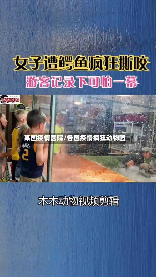某国疫情医院/各国疫情疯狂动物园