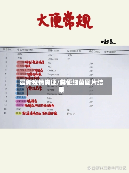 最新疫情粪便/粪便细菌图片结果-第2张图片