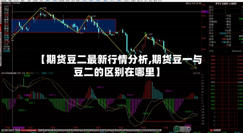 【期货豆二最新行情分析,期货豆一与豆二的区别在哪里】
