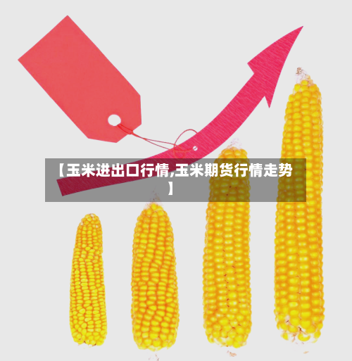 【玉米进出口行情,玉米期货行情走势】-第2张图片