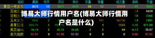 博易大师行情用户名(博易大师行情用户名是什么)-第2张图片