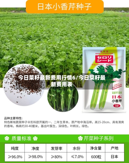 今日菜籽最新费用行情6/今日菜籽最新费用表